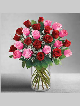 Pink & Red Roses in a Glass Vase