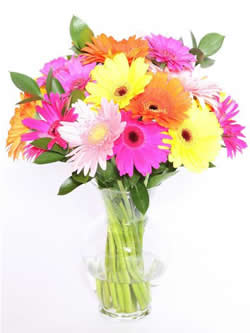 Bunch of Assorted Gerberas in a Glass Vase