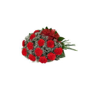 Lovely carnation