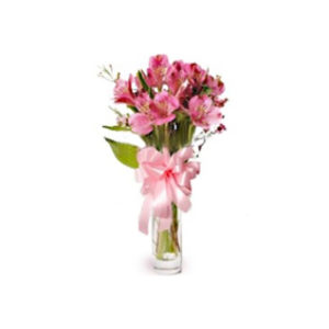 Picture of Pink