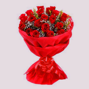 Delight Roses