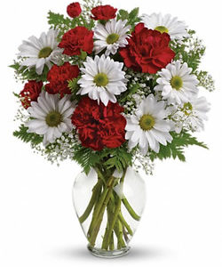 Mixed Mums and Carnations