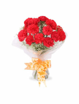 Red Carnations