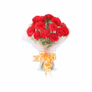 Red Carnations