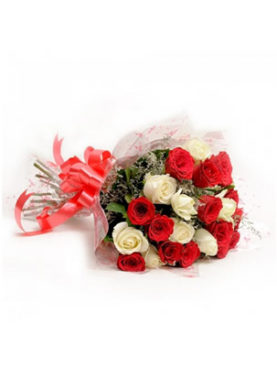 Red N White Roses