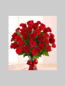 Red Roses and Carnations