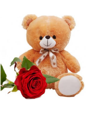 Teddy Bear and Rose