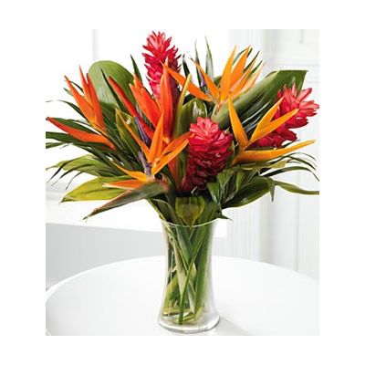 Birds of Paradise | Flower Delivery in Nairobi | Same Day Flower Delivery  in Nairobi