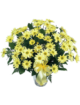 Yellow Mums