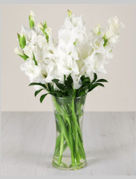 Gladiolus in a Glass Vase