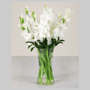 Gladiolus in a Glass Vase