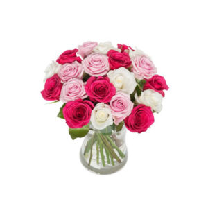 Rose Temptation
