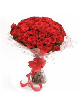 70 Red Roses