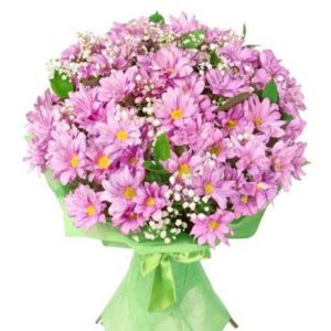 Daisy Delight