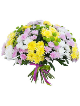 Multicolored Chrysanthemum