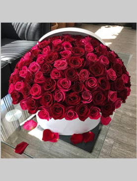 150 mixed roses