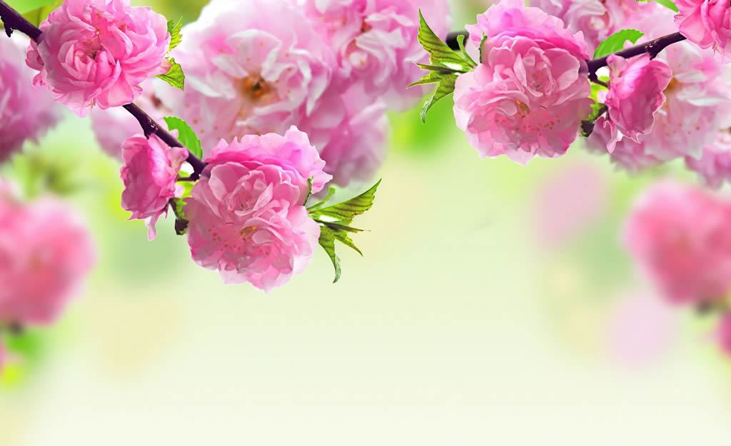 Pro Tips For Sending The Most Amazing Flower Arrangements