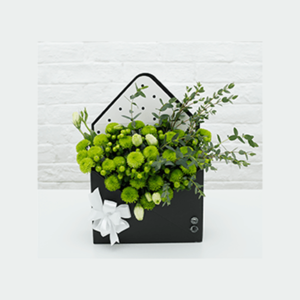 Green Button Chrysanthemum