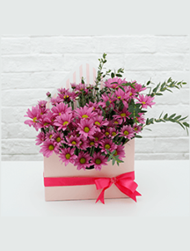 Pink Chrysanthemum Envelope