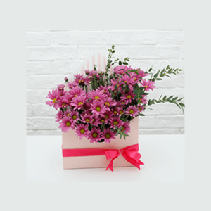 Pink Chrysanthemum Envelope