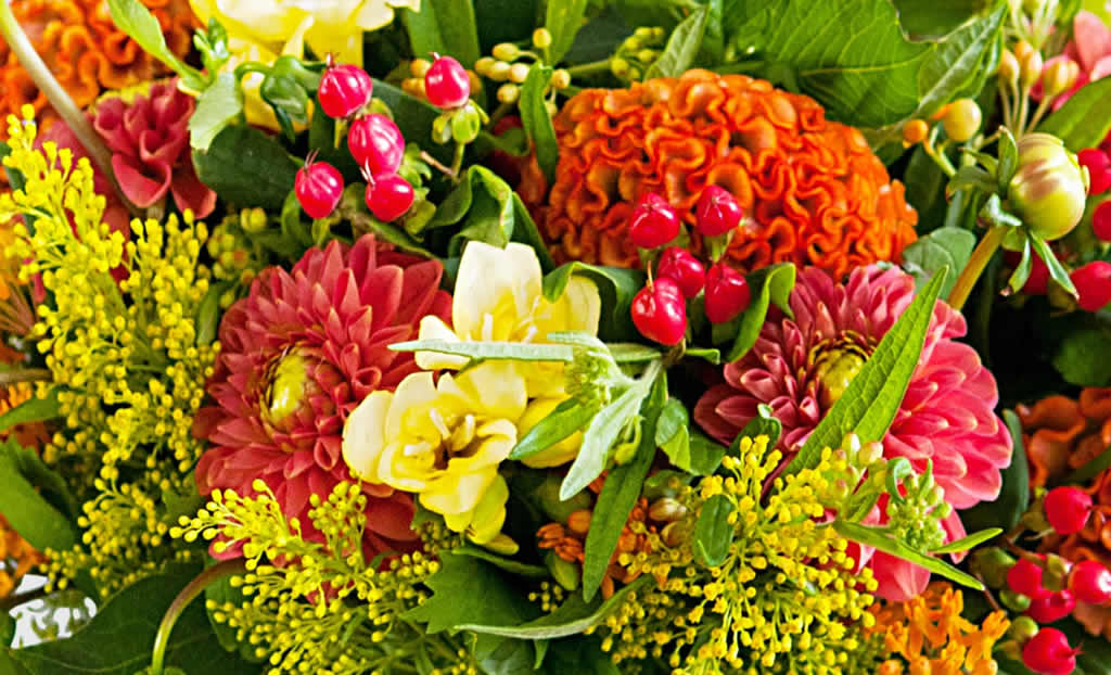Congratulation Flowers