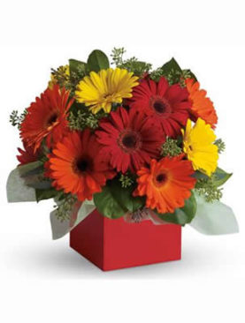 Exuberant Arrangement Box