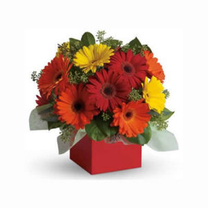 Exuberant Arrangement Box