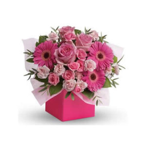 Think Pink Box