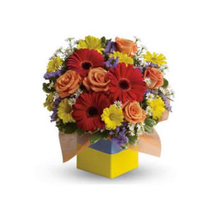 Garden Spectacle Box