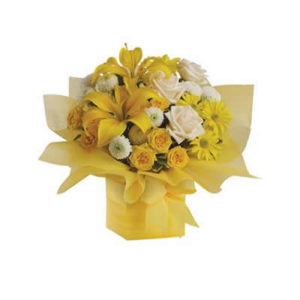 Sweet Sunshine Box