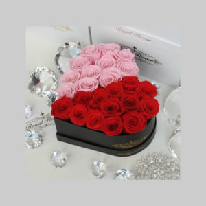 Red and Pink Heart Box