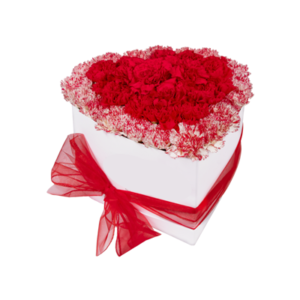 Multi colored Carnations Box