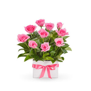 Rose Divine Box