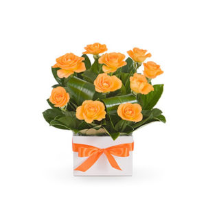 Dreamy Orange Box