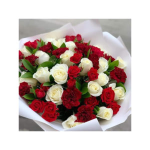 Rosy Carnations