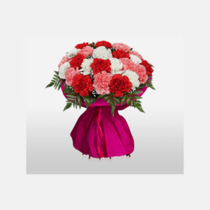 Carnations All Over