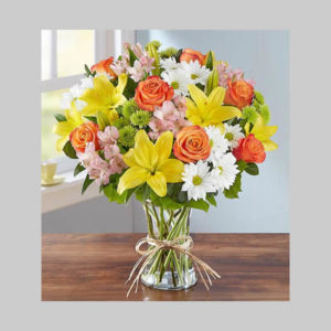 Colours of Lilies