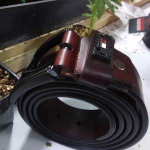 Tommy Hilfiger leather belt - Brown/ Black