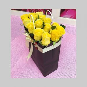 Bag of Yellow Hues