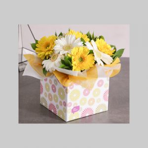 Sunny Box of Gerbera Daisies