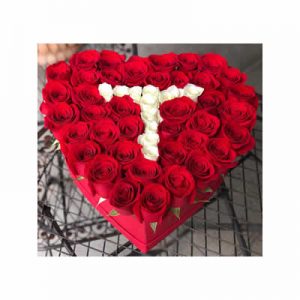 Letter Box T