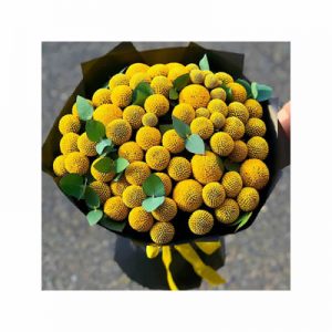 Craspedia Bouquet