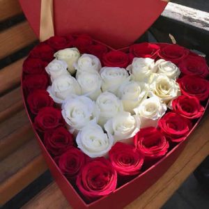 For Beautiful Lady