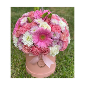 Posh Pinks