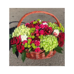 Beaming Hydrangea Basket