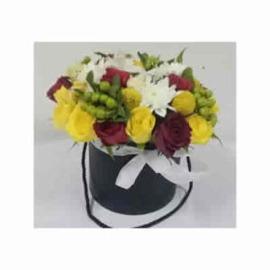 Stylishly Bright Box