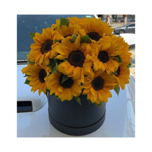 Sunflower Hatbox