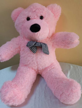 60 Cms Pink Teddy