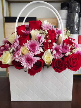 Luxury stylish bag White